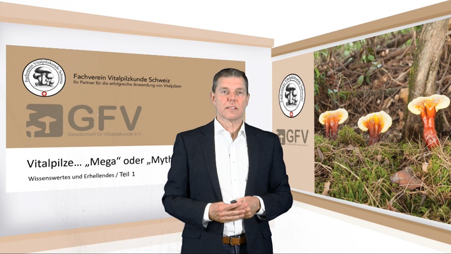 Nutrexin Videostudio benefitIMPACT Nutrexin Videostudio benefitIMPACT