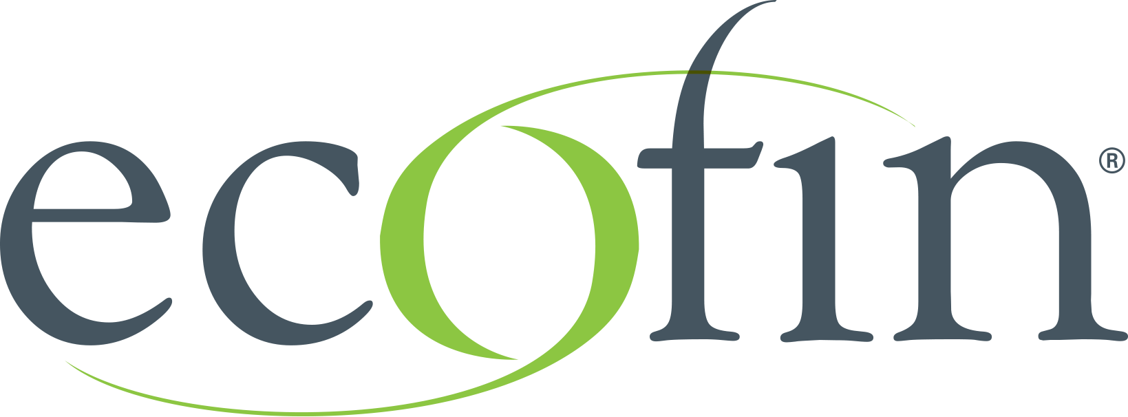 Ecofin Logo Führungstraining
