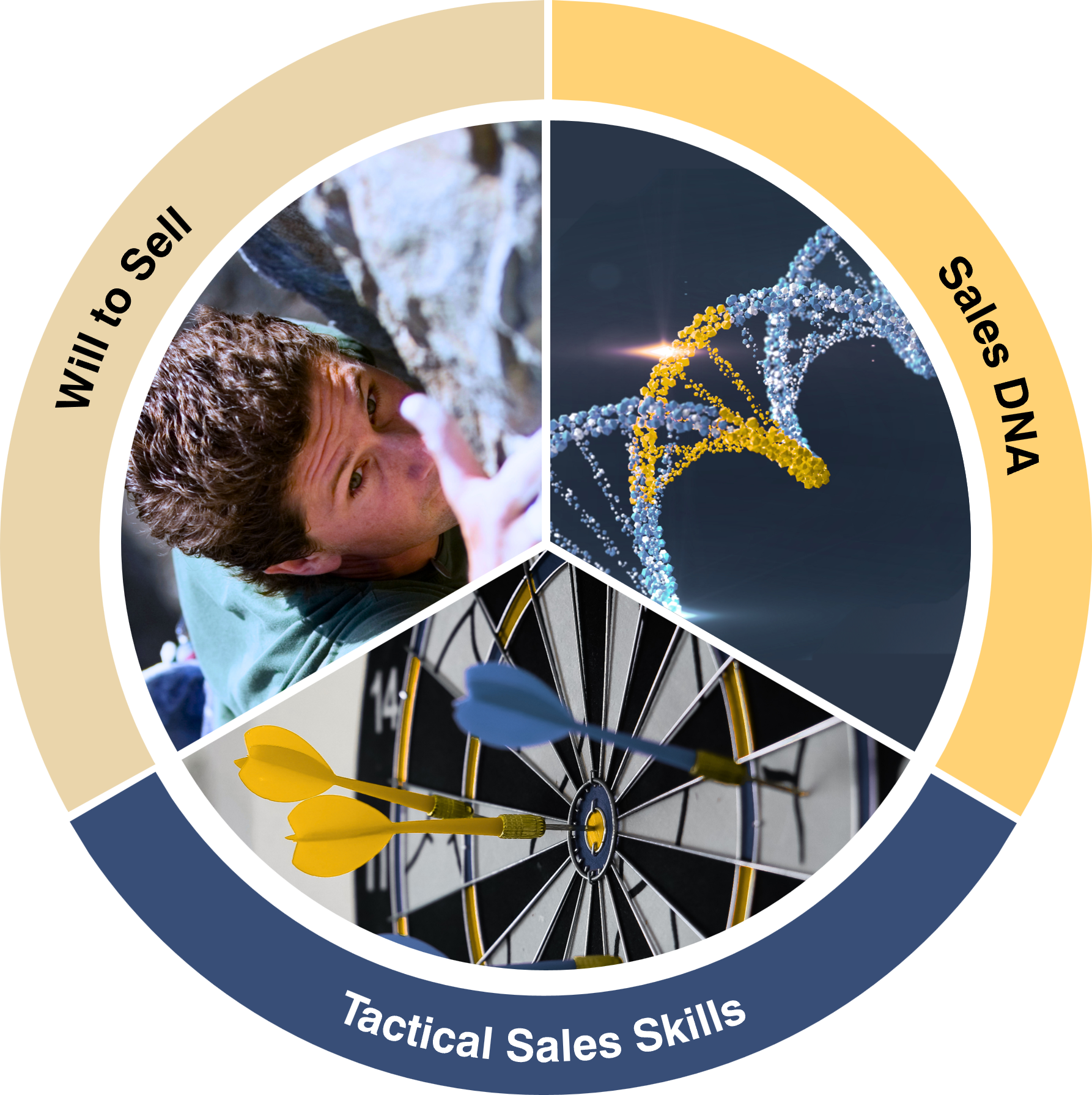 Sales IMPACT Analysis - benefitIMPACT