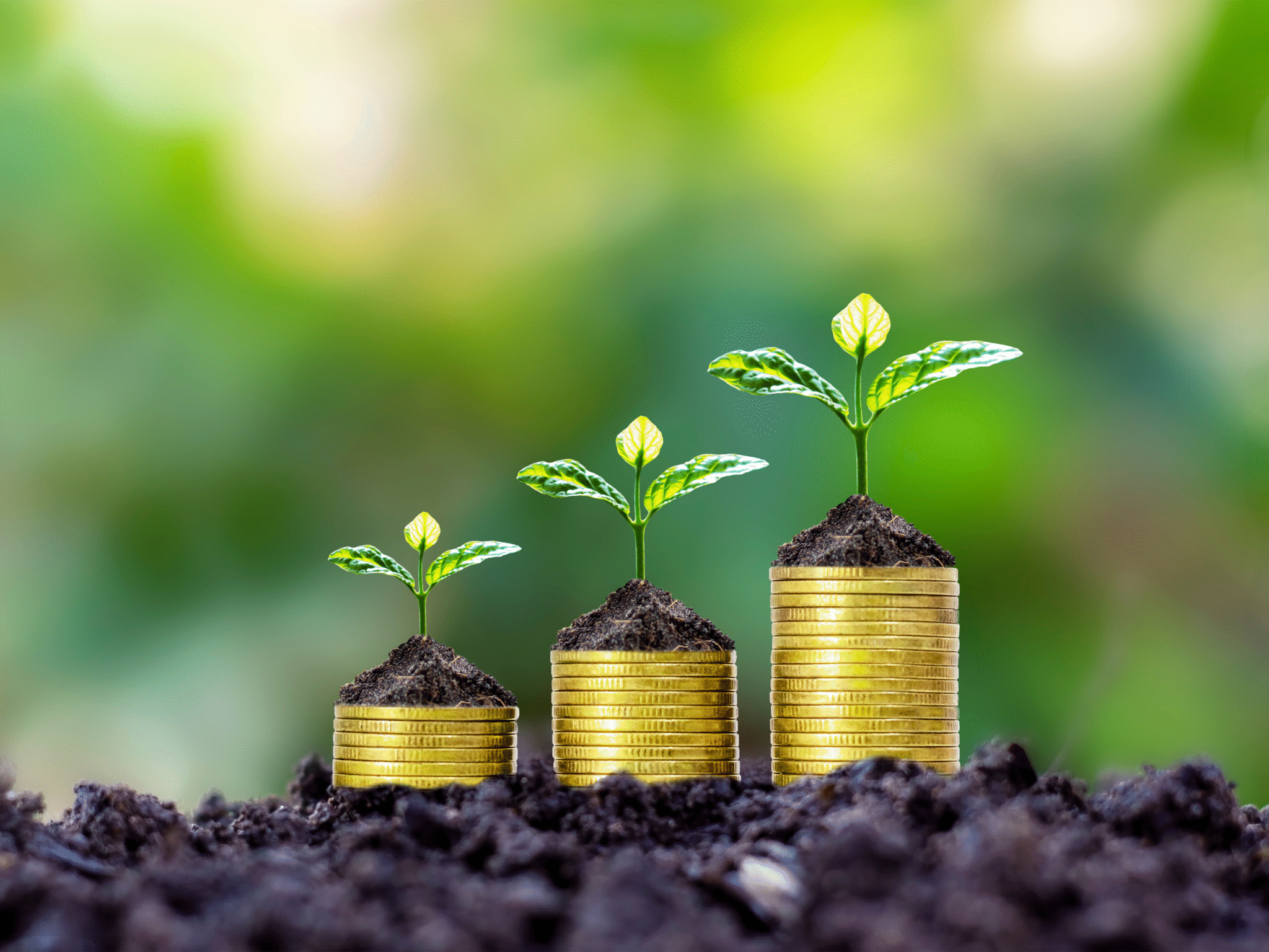 Business Development - Growth Opportunty - Umsatzwachstum - Wachsende Pflanzen auf Münzen